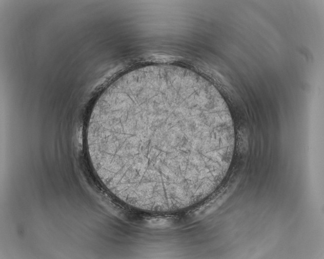 X0000110710358200907241150