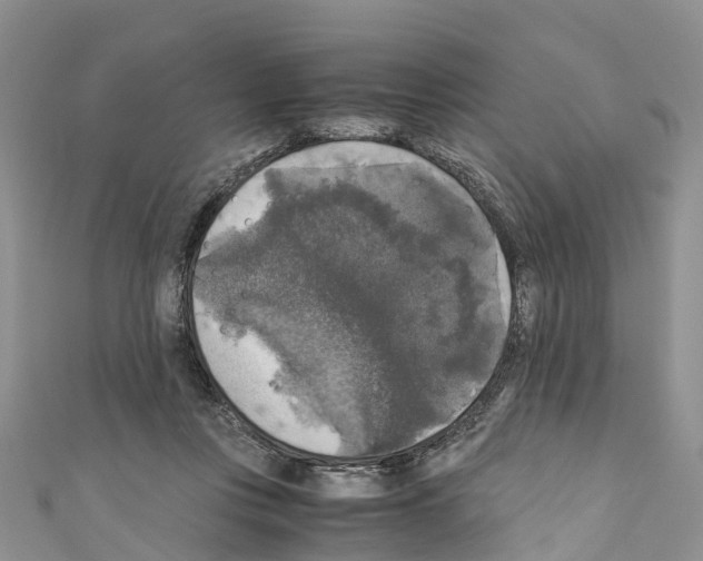 X0000110710359200907241150