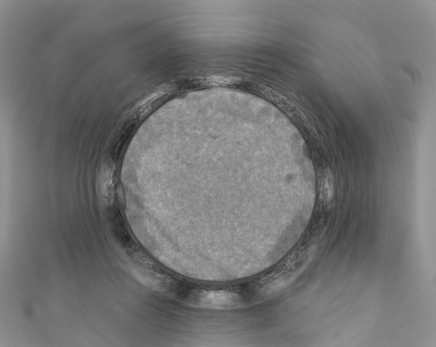 X0000110710360200907241150