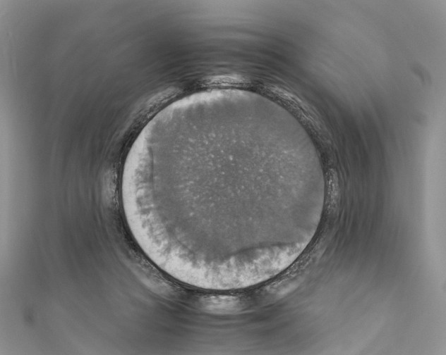 X0000110710361200907241150