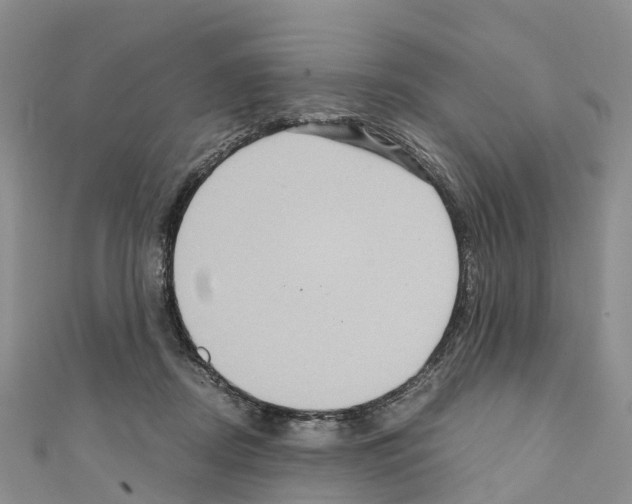 X0000110710362200907241150