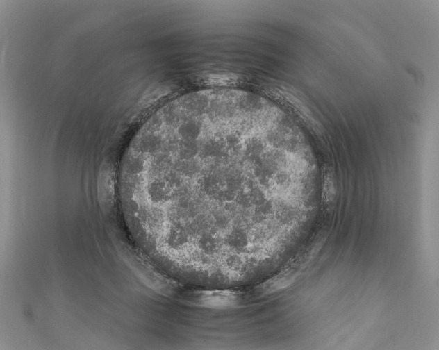 X0000110710363200907241150