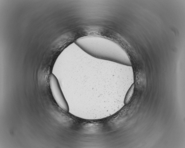 X0000110710364200907241150