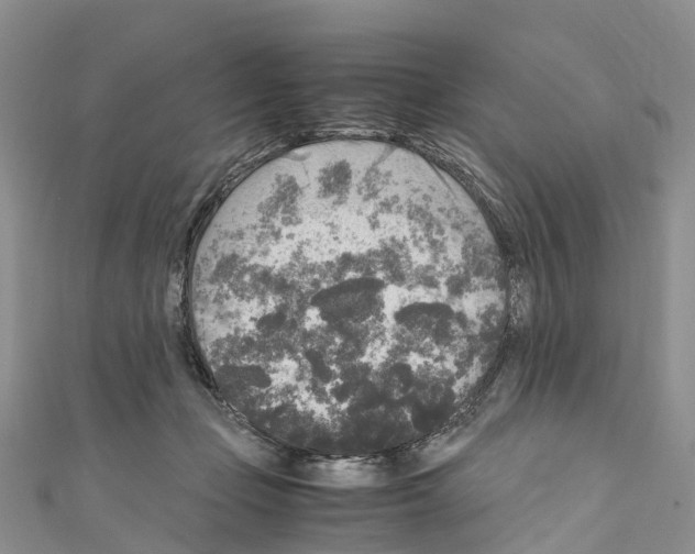 X0000110710365200907241150