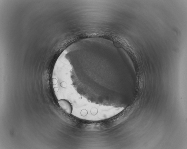 X0000110710366200907241150