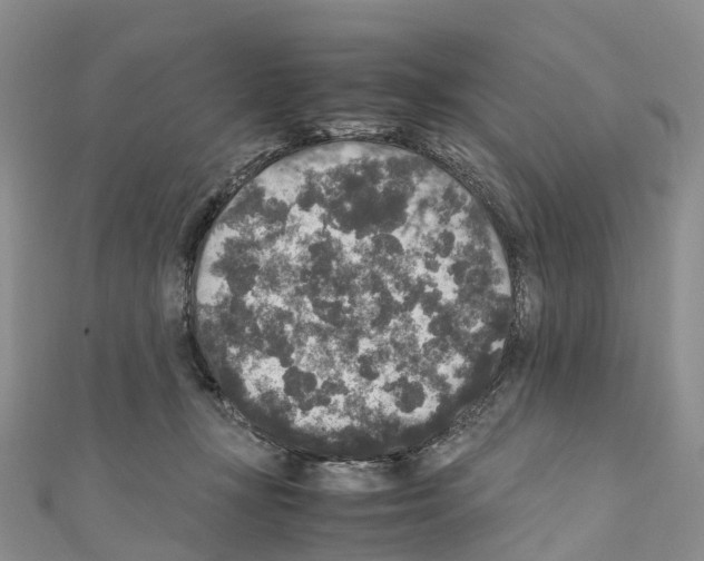 X0000110710367200907241150