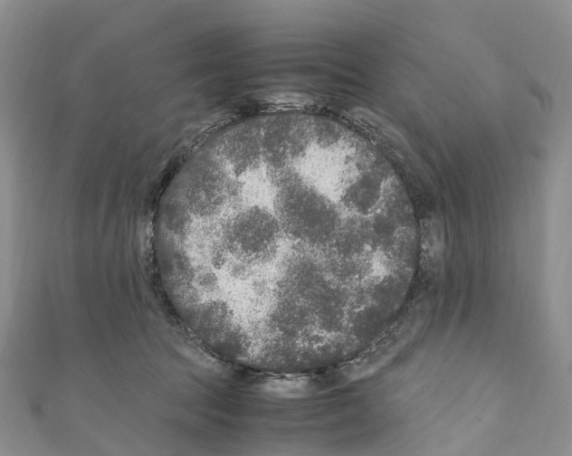 X0000110710369200907241150