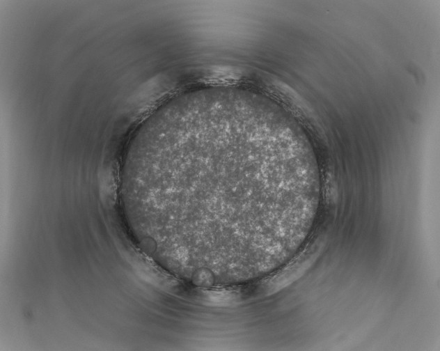 X0000110710370200907241150