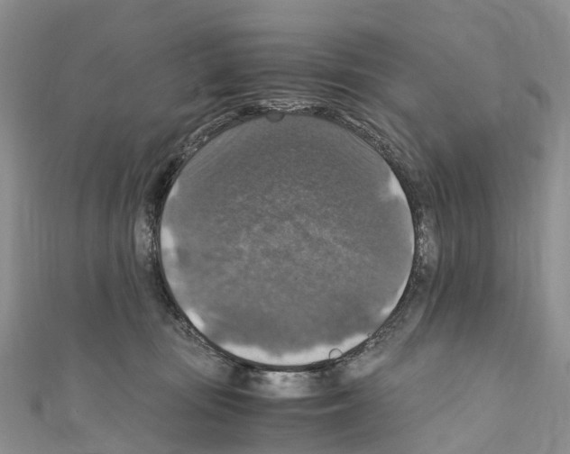 X0000110710371200907241150