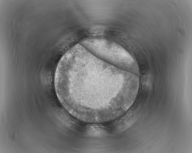 X0000110710372200907241150