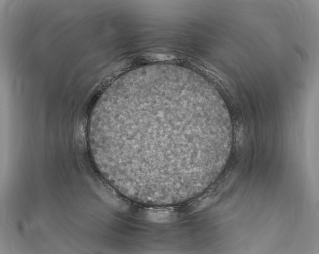 X0000110710373200907241150