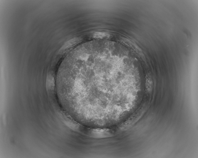 X0000110710375200907241150