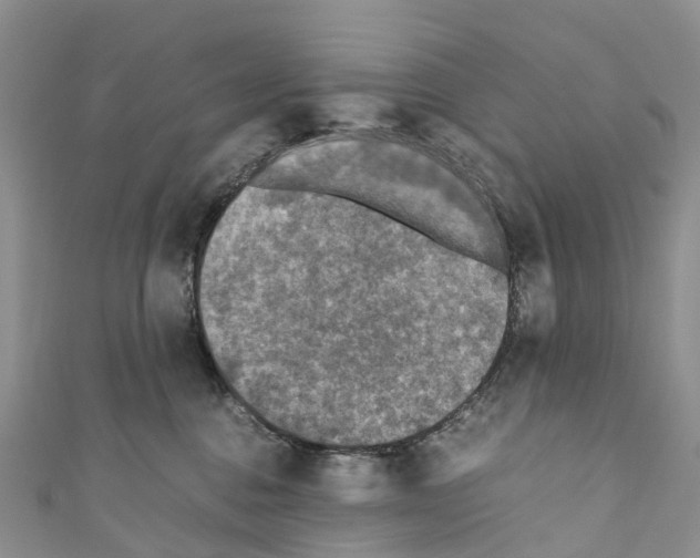 X0000110710376200907241150