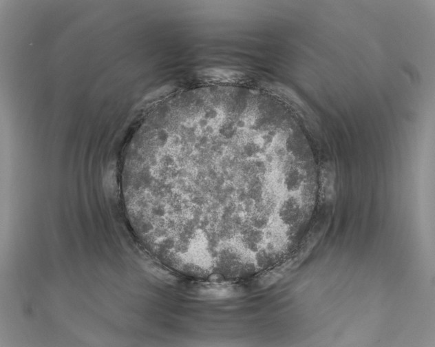 X0000110710377200907241150