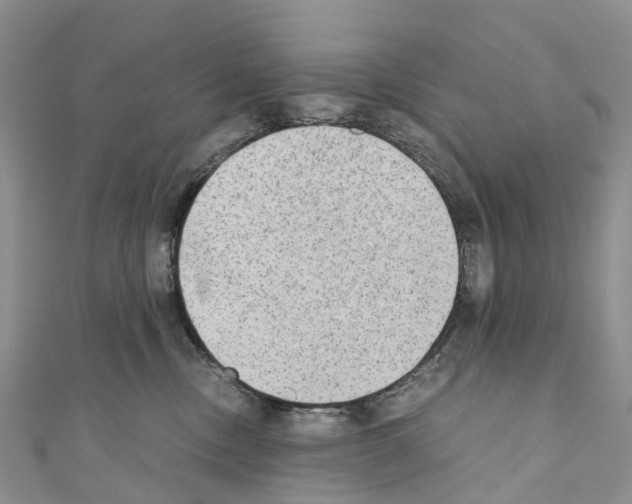 X0000110710378200907241150