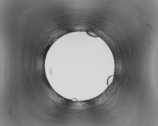 X0000110710379200907241150