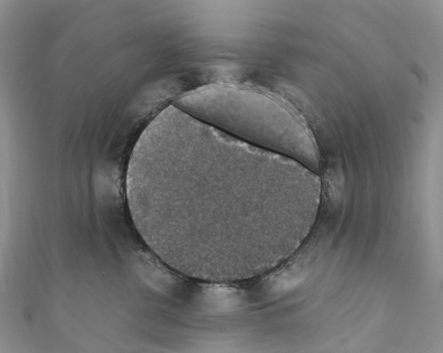 X0000110710380200907241150
