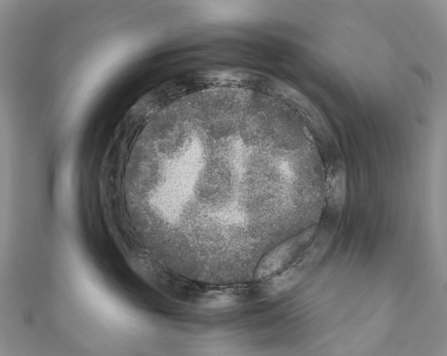 X0000110710381200907241150