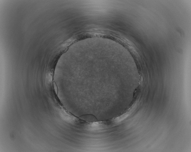 X0000110710382200907241150