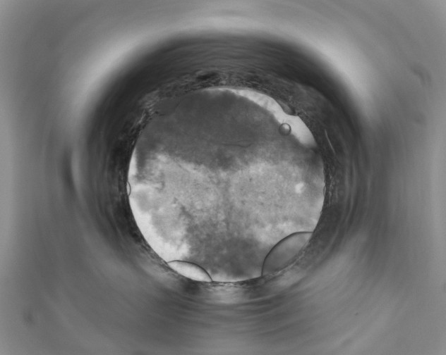 X0000110710383200907241150