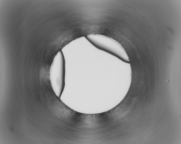 X0000110710384200907241150