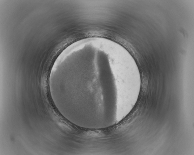 X0000110710386200907241150