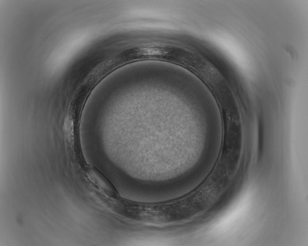 X0000110710387200907241150