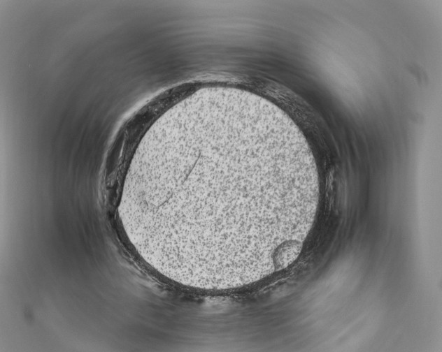 X0000110710388200907241150