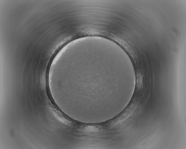 X0000110710390200907241150