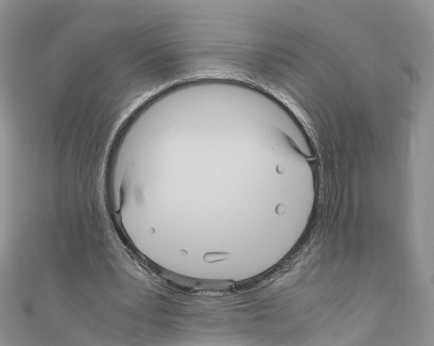 X0000110710391200907241150
