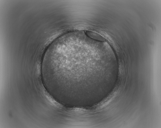 X0000110710393200907241150