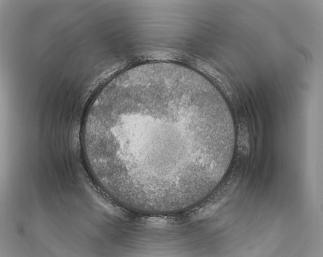X0000110710394200907241150