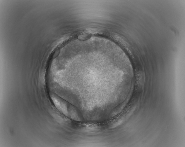 X0000110710395200907241150