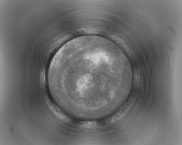 X0000110710398200907241150