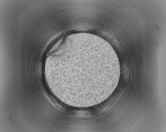 X0000110710400200907241150