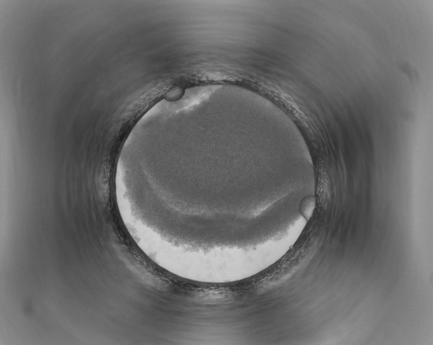 X0000110710402200907241150