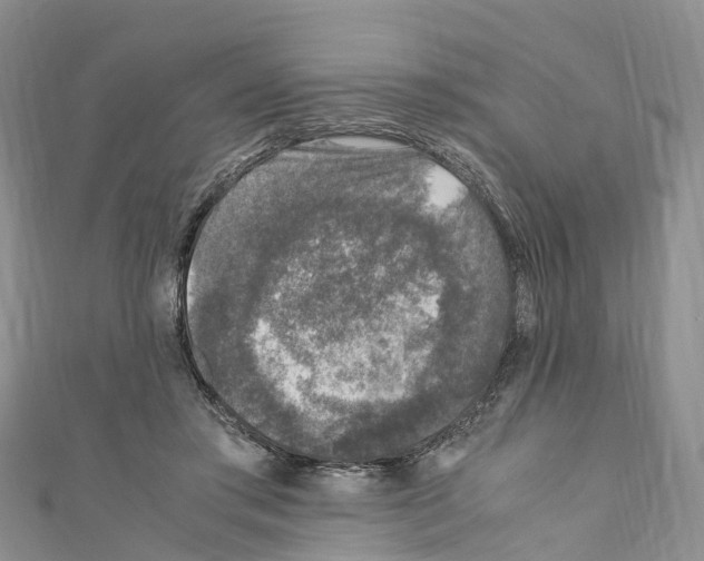 X0000110710405200907241150