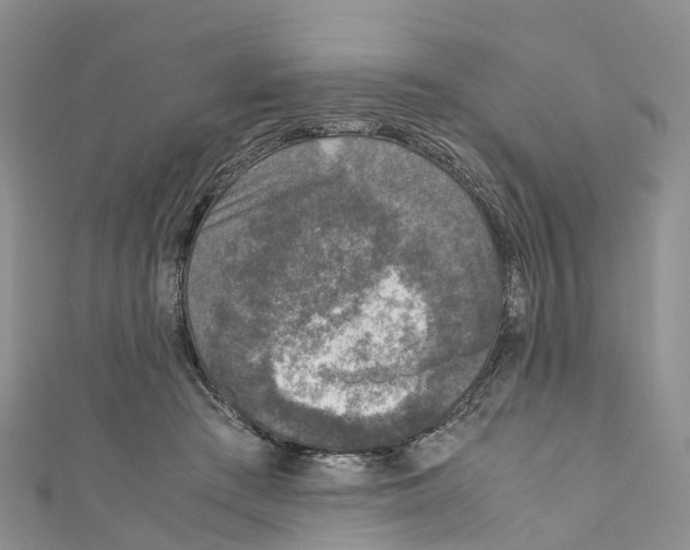 X0000110710409200907241149
