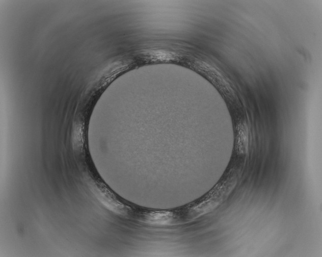 X0000110710410200907241149