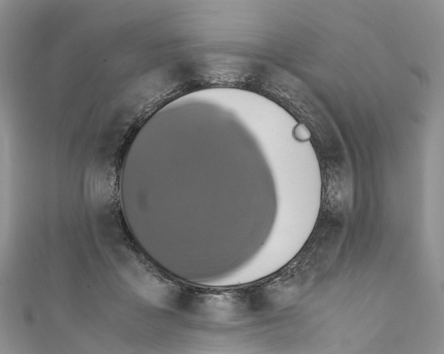X0000110710411200907241149