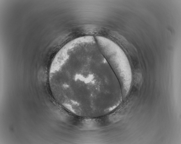 X0000110710413200907241149