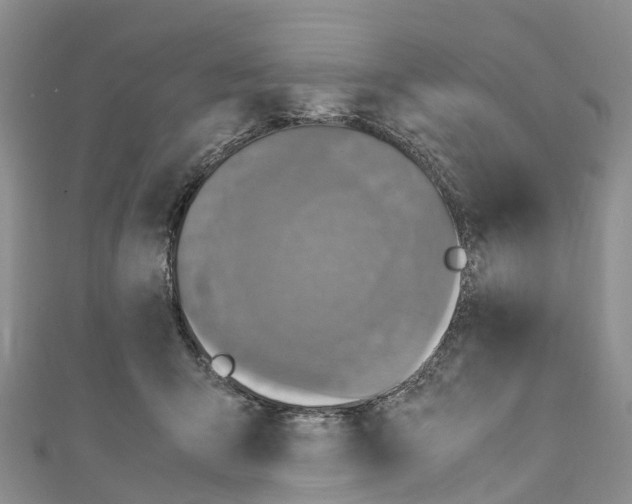 X0000110710415200907241149