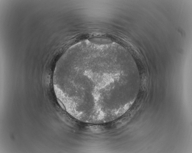 X0000110710417200907241149