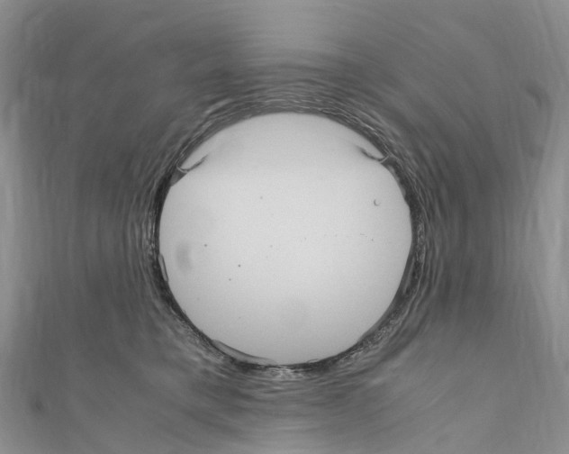 X0000110710421200907241149