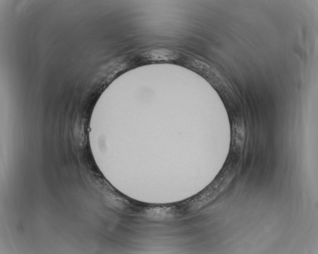 X0000110710422200907241149