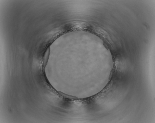 X0000110710423200907241149