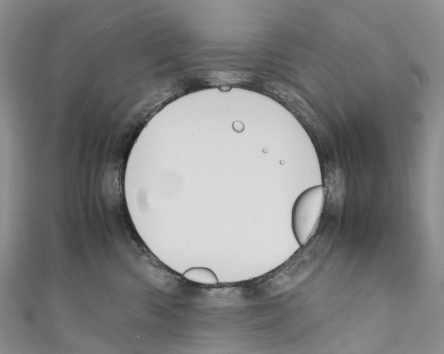 X0000110710426200907241149