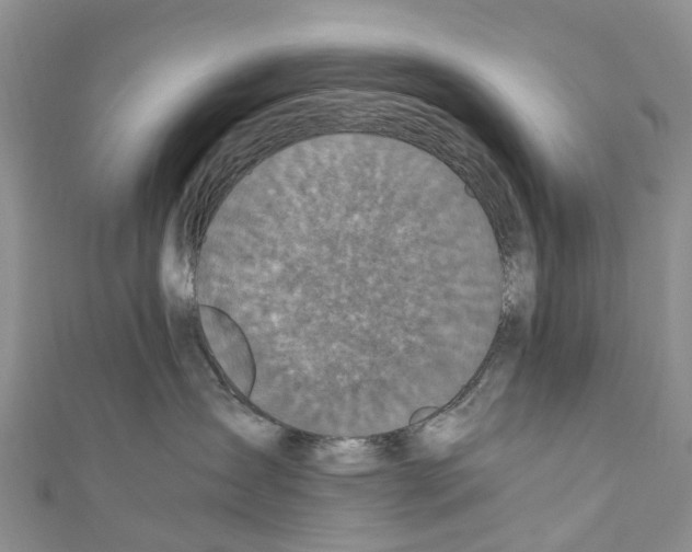 X0000110710431200907241149