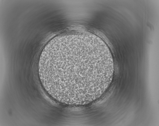 X0000110710433200907241149