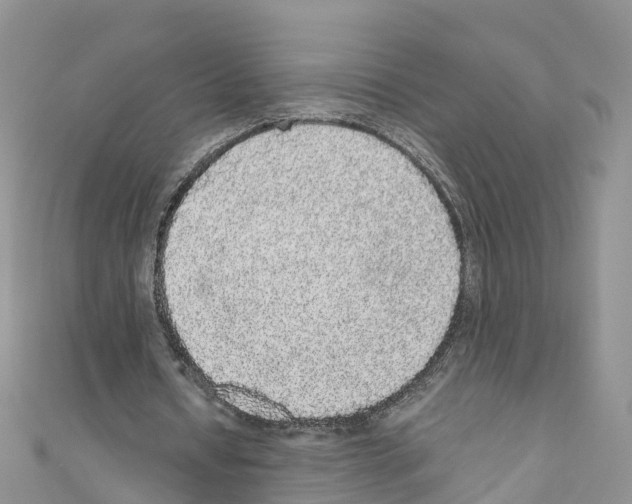 X0000110710434200907241149